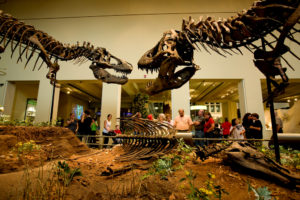 Carnegie Museum